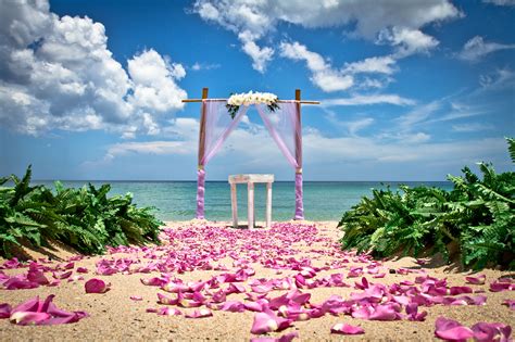 Treasure Coast Beach Weddings : Wedding Bells & Seashells