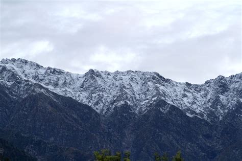 Palampur (Himachal Pradesh): Snow clad Dhauladhar mountain range