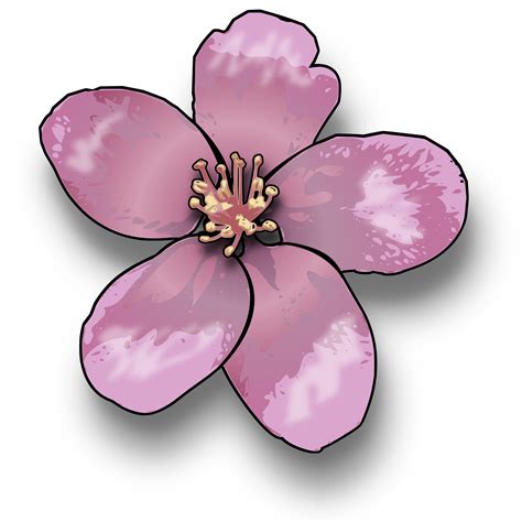 Peach tree blossom clipart - Clipground