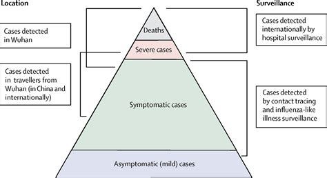 Estimates of the severity of coronavirus disease 2019: a model-based analysis - The Lancet ...