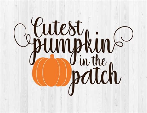 Cutest Pumpkin in the Patch SVG Cut File Halloween SVG Fall SVG - Etsy ...