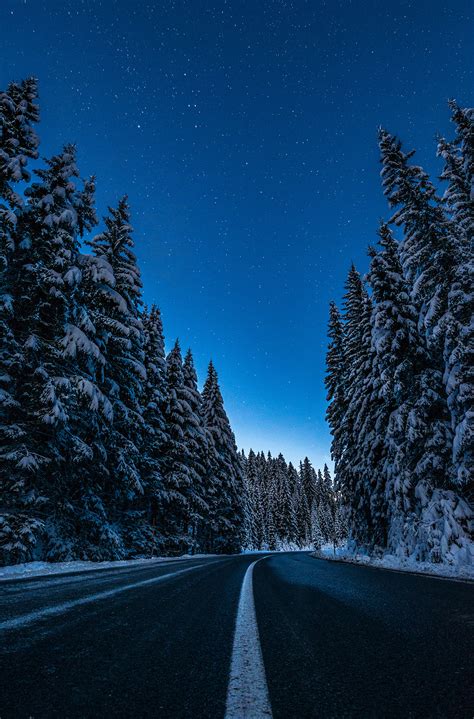 Dreamy Pixel | Night under the stars on the road to Pokljuka - Dreamy Pixel