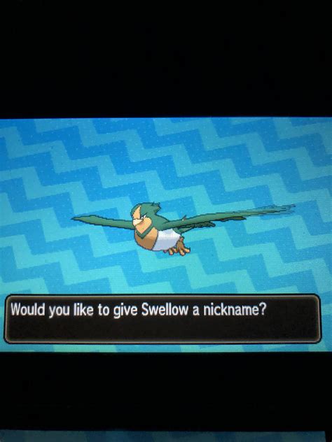 [7] Shiny swellow! : ShinyPokemon