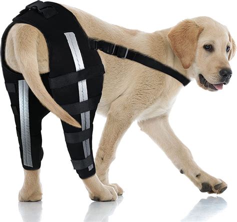 Best Dog Brace For ACL Tear & Dog Cruciate Ligament For Sale | LOVEPLUSPET