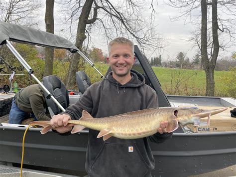 Illinois Shovelnose Sturgeon Nearly Beats the World Record | Outdoor Life