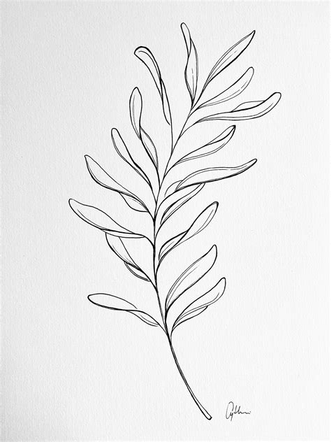 minimal wild flower, botanical line art, abstract leaves drawing ...