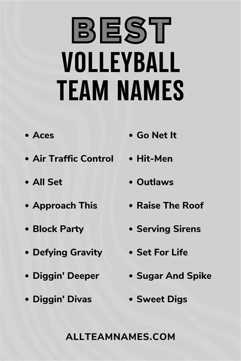 111 Volleyball Team Names That Are A Hit