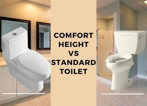 Comfort Height Vs Standard Height Toilet - Find Property to Rent