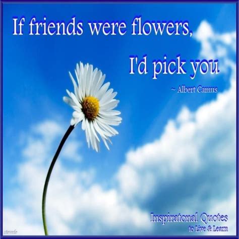 Flowers Are Friendship Quotes. QuotesGram