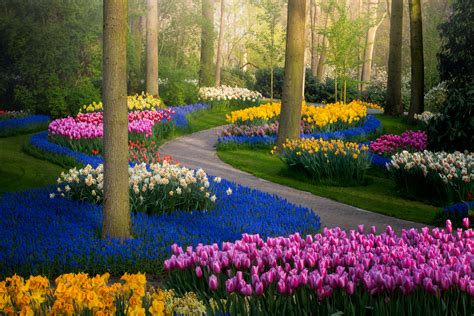 Pin on Keukenhof Gardens