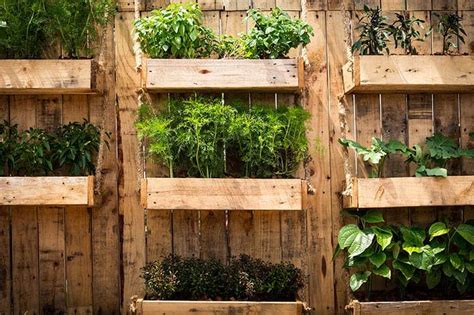 20+ Incredible Vegetable Garden Ideas – 2000 Daily