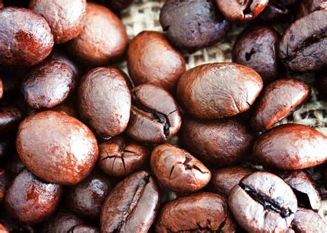 4 Types of Coffee Beans to Try: Differences and Flavor Factors | EnjoyJava