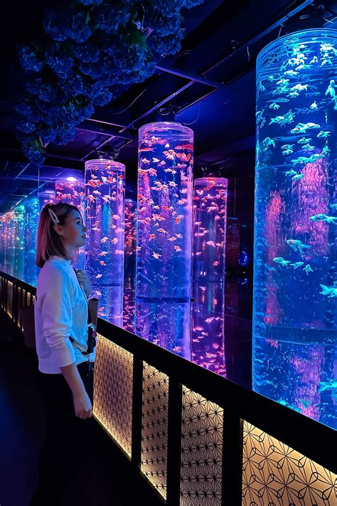 The Art Aquarium Museum Ginza - A New Tokyo Attraction - Travel Pockets