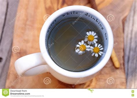 Chamomile Tea with Chamomile Daisy Flowers Stock Photo - Image of rest, spoon: 77461336