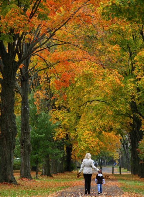 48 Fall in Pennsylvania ideas | pennsylvania, fall foliage, fall