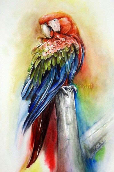 Watercolor Paintings Of Parrots