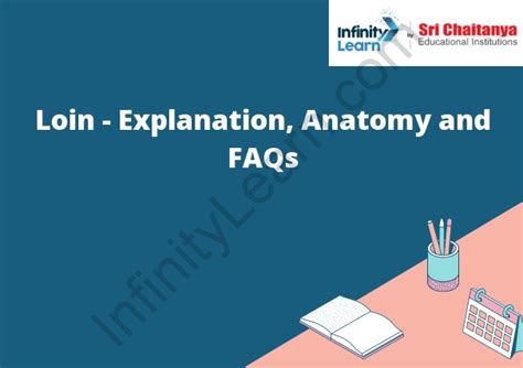 Loin - Explanation, Anatomy and FAQs - Infinity Learn by Sri Chaitanya