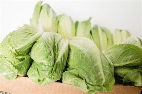 15 Surprising Nutritional Benefits of Romaine Lettuce — Hitchcock Farms