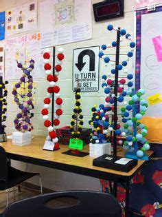 Discovery of the DNA Structure • MiniOne Systems