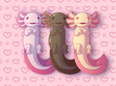 Axolotls gif by wingedwolf94 on DeviantArt | Baby animal drawings, Cute ...