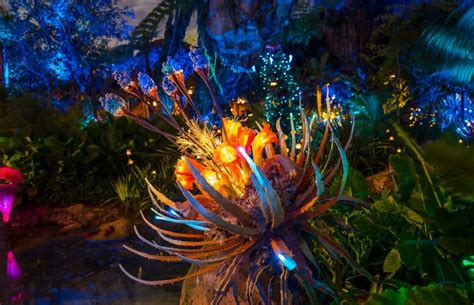 Pandora: The World of Avatar at night at Disney World’s Animal Kingdom | Orlando Informer