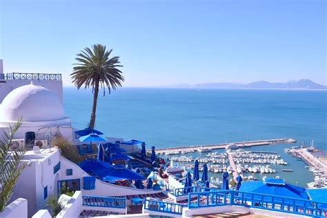 Book the Best BOUTIQUE Hotels in Sidi Bou Said in 2021 | Expedia.ca