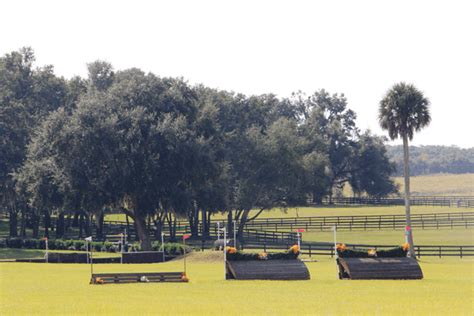 Amenities - Majestic Oaks Ocala