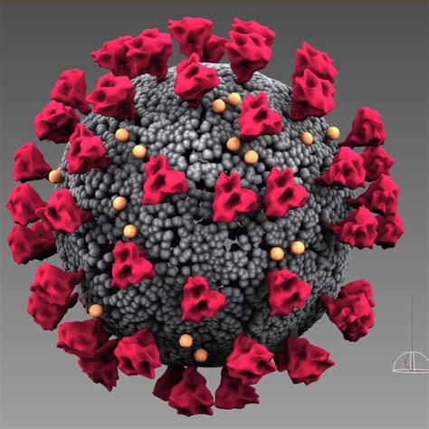 corona virus covid-19 3d model | CGTrader