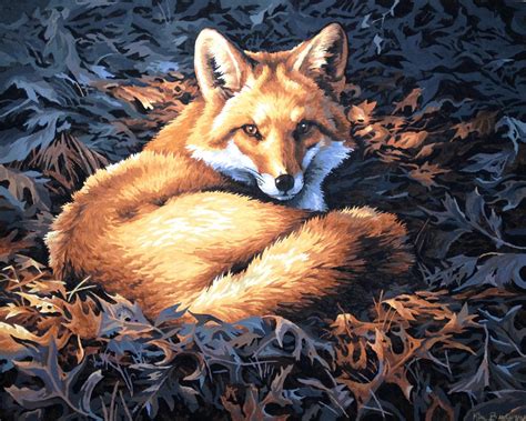 forest fox by JiaYin5 on DeviantArt