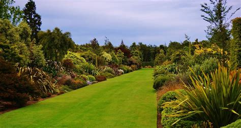 100m long double borders of NZ native plants | Broadfield NZ Landscape Garden, Canterbury, New ...