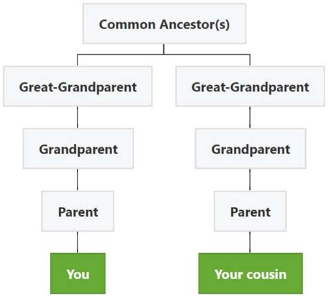 What is a Third Cousin? Are They Considered Family?