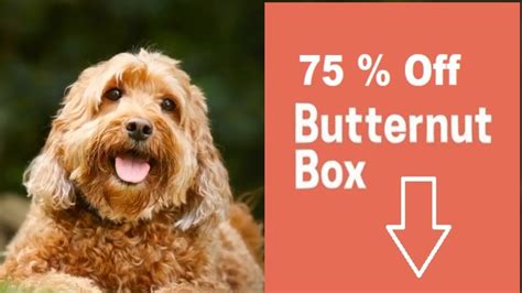 How Butternut Box Fresh Dog Food Delivery Works With 75% Off How To Get ...