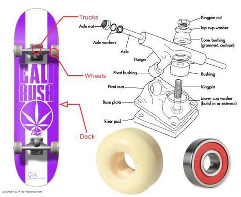 CALI Strong Basic Skateboard Buying Guide | Skateboard parts ...