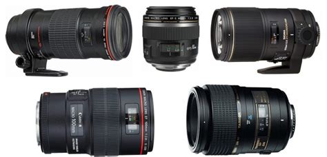 Best Macro Lens for Canon: The Ultimate Guide (2020)