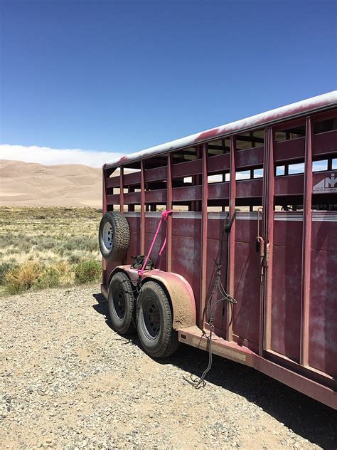 Types of Horse Trailers for Colorado Equine Real Estate | Colorado ...