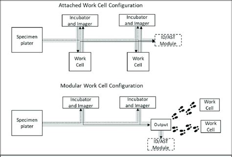 Models of configurations of total laboratory automation systems for... | Download Scientific Diagram