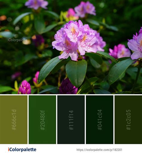 Color Palette Ideas from Flower Plant Woody Image | iColorpalette