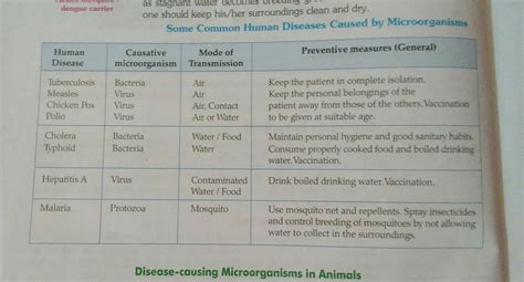 Top 162 + Diseases caused by microorganisms in animals - Inoticia.net