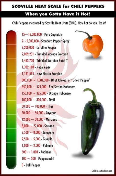 Scoville unit - Google Search | Stuffed peppers, Stuffed hot peppers, Chili pepper