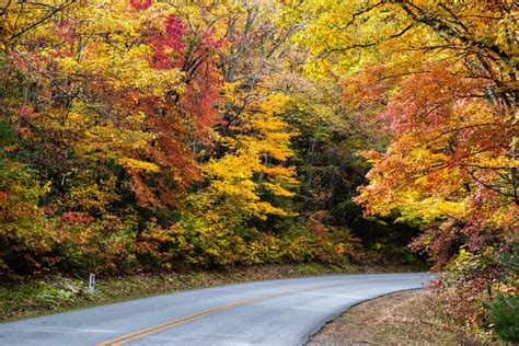 Asheville 2018 Fall Color Report & Forecast | Scenic Views | Asheville, NC's Official Travel Site