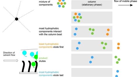 Reversed-Phase Chromatography - Principle, Protocol, Applications - Biology Notes Online