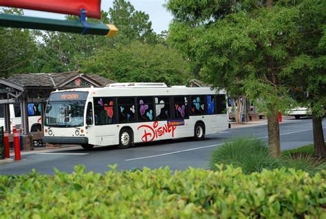 File:Disney bus in Walt Disney World, Florida.jpg - Wikimedia Commons