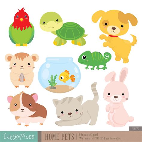 clipart pet animals 10 free Cliparts | Download images on Clipground 2024