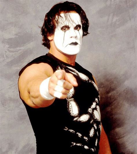 Sting The Franchise Of WCW | Wrestling superstars, Sting wcw, Pro wrestling