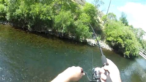 Fishing the Logan River | Logan Utah - YouTube