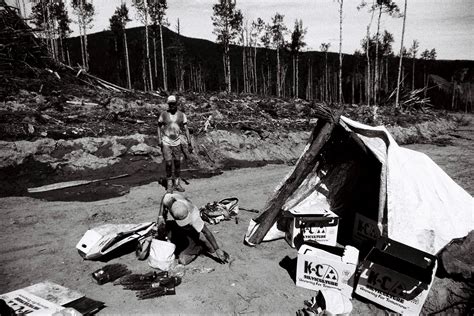 Tree Planting in Western Canada 'The Ground is Your Bank and the Trees ...