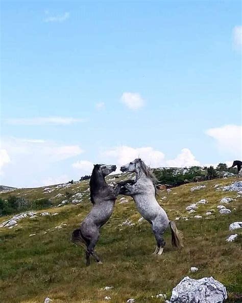 Livno, Bosnia and Herzegovina : r/europe