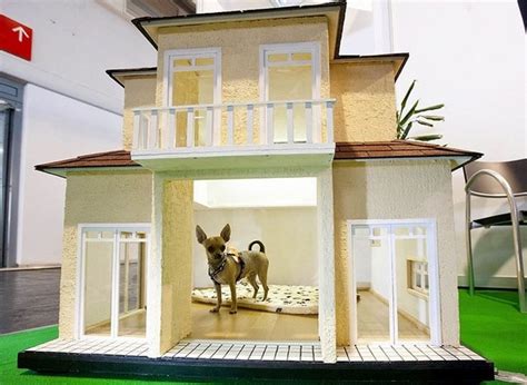 Adorable dog house designs for the comfortable living of our pets