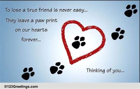 Pets Cards, Free Pets Wishes, Greeting Cards | 123 Greetings