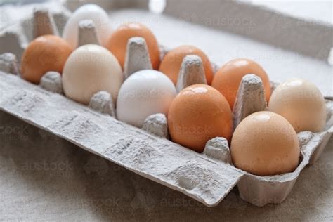 Image of Organic free range eggs in carton - Austockphoto